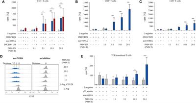 Inhibition of Arginase 1 Liberates Potent T Cell Immunostimulatory Activity of Human Neutrophil Granulocytes